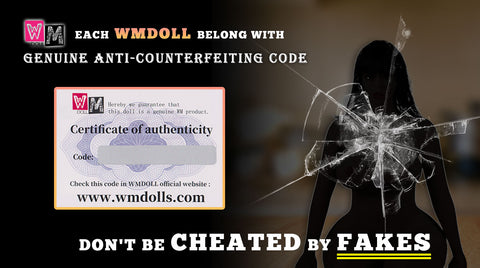 Sistema Antifalsificación