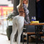SE Doll - Melantha (157cm) [US In Stock] - Blonde - Full TPE - Sex Doll - iDollrable