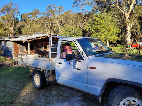 Starpery - Queen (171cm) - Full TPE - Small Tits - Sex Doll - iDollrable